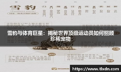 德赢vwin399