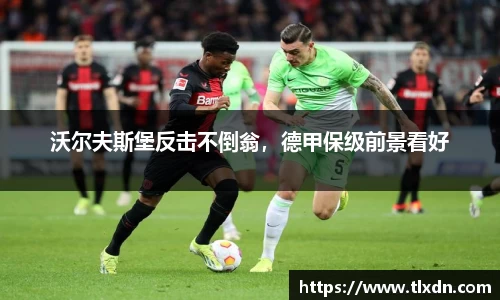 德赢官方