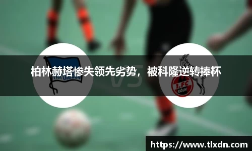 vwin网上官网