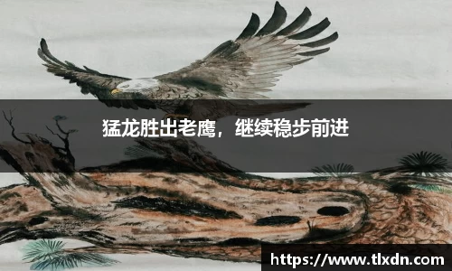 德赢vwin399