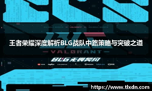 王者荣耀深度解析BLG战队中路策略与突破之道