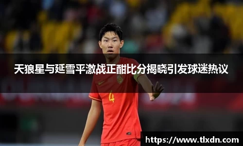 天狼星与延雪平激战正酣比分揭晓引发球迷热议