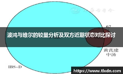 波鸿与维尔的较量分析及双方近期状态对比探讨