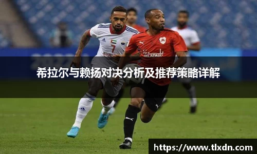 希拉尔与赖扬对决分析及推荐策略详解